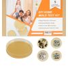 Mold Test Kit for Home - 5 Simple Detection Tests,Test HVAC System,Home Surfa...