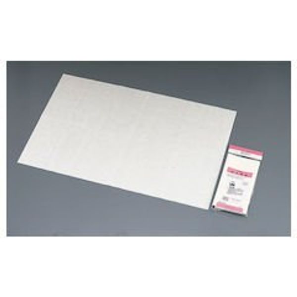 Freely Insole Paper (10 Piece) wsk19