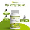 2 NUTREL NEW STEM CELL ENHANCER CELULAS MADRES Regemax alga maya bioxcell
