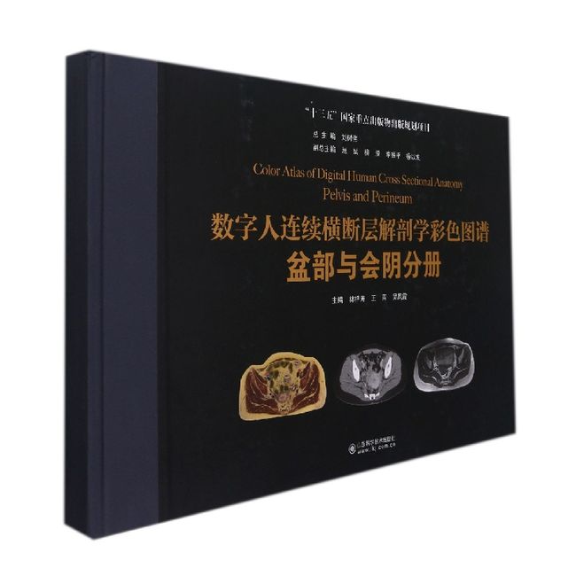 数字人连续横断层解剖学彩色图谱：盆部与会阴分册