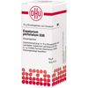 DHU Eupatorium perfoliatum D 30 Streukügelchen, 10 g Globuli