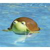 Green and Brown Floating Turtle Swimming Pool Dispenser