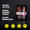 [Universal Nutrition Animal Flex Pak] Universal Animal Creatine XL Powder - Enhanced Pre-Workout Monohydrate Supplement Supports Brain Health Delays Fatigue Increases Endurance, [01] 30.0 Servings (1 Pack)