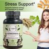 Ashwagandha with Black Pepper Extract  Organic  3000 MG Extra Strength