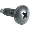 MIDDLE ATLANTIC HP 10-32 Rackscrew Truss-Head - 100 Piece