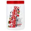 Micronized Creatine™ Plus, Fruit Punch, 420 g