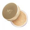 No7 Pro Artist Set The Scene Loose Setting Powder Translucent