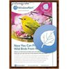 Window Alert ANTI-COLLISION CLINGS ASPEN LEAF DECALS PREVENT BIRD WINDOW STRIKES