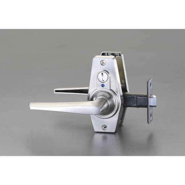 FS60686 29-45mm/60mm Lever Display Lock