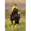 LeMieux Classic Lycra Fly Hood - Dijon/Grey Large