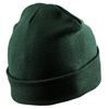 Result Winter Essentials Double Knit Printers Beanie One Size/Bottle, Dark Green