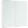 Frameless Wall-Mounted Storage Cabinet with Storage and Adjustable Shelf