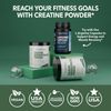 Micronized Creatine Monohydrate Powder 5g Unflavored Post-Workout Recovery 300g