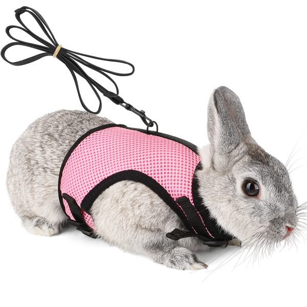 Pettom Bunny Rabbit Harness with Stretchy Leash Cute Adjustable Buckle Breathable Mesh Vest Harness and Leash Set for Kitten Small Pets Holland Lop Bunnies Walking (S(Chest:9.8-12.5 in))