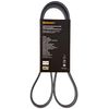 CONTITECH 6PK1244 V-Ribbed Belt