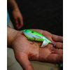 Heddon Spin'N Image - Bluegill Fry - 3.5"