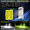 Headlight Bulb (Bulb Color, H8/H11)