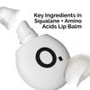 The Ordinary Squalane + Amino Acids Lip Balm 15 ml