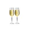 Gsi Outdoors Nesting Champagne Flute Set of Glasses, Unisex Adult, transparent, one size