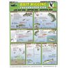 Freshwater Bait Rigging Guide #1- Waterproof Reference