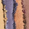 HARD CANDY TOP TEN EYESHADOW COLLECTION - RICH & FAMOUS 1302