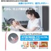 L APIS: Dental Compact Tuft Brush, Made in Japan, Section Brushing, For Braces, Teeth Gaps, Dental Tartar, Periodontal Disease, Gingivitis Pain Prevention, Good Design Award Winner, Soft, Vivid, 5 Pieces, 1 Cap Included