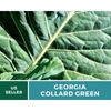 Collard Greens, Georgia - 100 Seeds - Heirloom Vegetable - Open Pollinated - Non