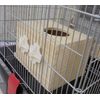 Sanko Shokai Degu House Degu Sticker Set