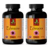 Pure Echinacea Root Extract - Immune System Support - Fights Dandruff 2 Bottles