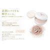amritara skin dress powder refill
