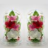 Phalaenopsis Denfare Dome Versus Design SET (Clear Pink)