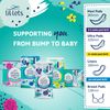 Lil-Lets Maternity Pads | 10 x Extra Long Maxi Thick Pads with Wings