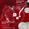 Weleda Plumping Eye & Lip Cream with Peptides from Maca Root and Pomegranate