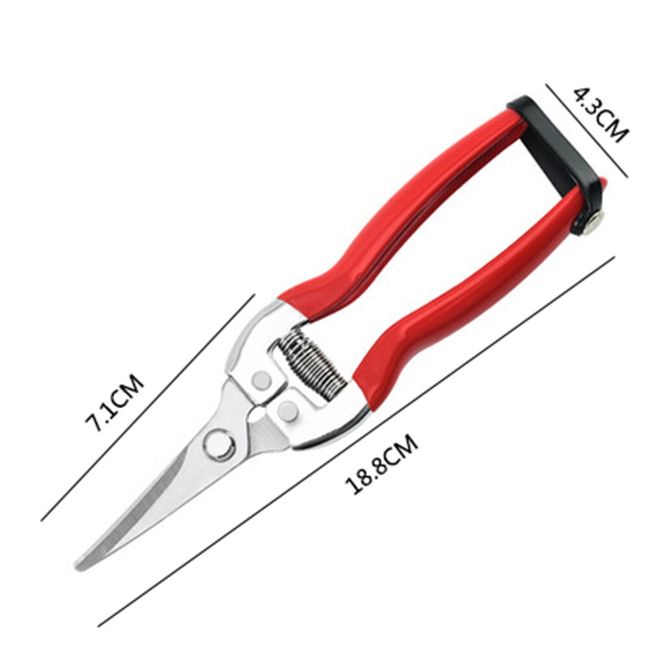 Gardening Hand Pruner Garden Scissors Pruning Shears Cutter Pruning Snips  Leaf Trimmer Straight Florist Scissor Tool