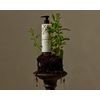 Cowshed Restore Exf. Hand Wash, 300 ml 30720728