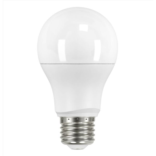 Satco S9593 9.5A19/LED/2700K/120V ( 6 Pack )