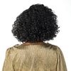 Sensationnel HD Lace Front Wig Butta Unit 4 (2)