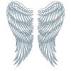 Tinsley Transfers Wings, Flesh/Multi, One Size