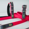 HUNTER Convenience Comfort Dog Collar Plastic Material Neoprene 40 S Raspberry