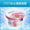 gure-dojerusitorasuhuressyu Set of 5