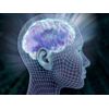 Brain Memory Booster Supplement Supports Maintains Brain Activity Pills 360 pls