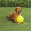 Fox Valley Traders Giant Dog Tennis Ball, 9.5"