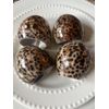 Beautiful, Natural Tiger Cowrie Shell  Napkin Rings.