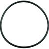 Waterway 805-0238 Champion and SVL56 Diffuser O-Ring with Lube