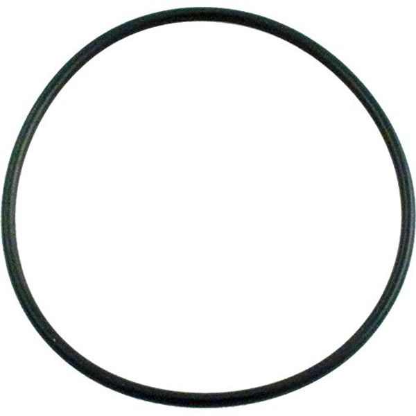 Waterway 805-0238 Champion and SVL56 Diffuser O-Ring with Lube