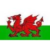 5FT X 3FT YNYS MONS WELSH NATIONAL FLAG