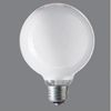 Panasonic Panaball Bulb GW100V54W95