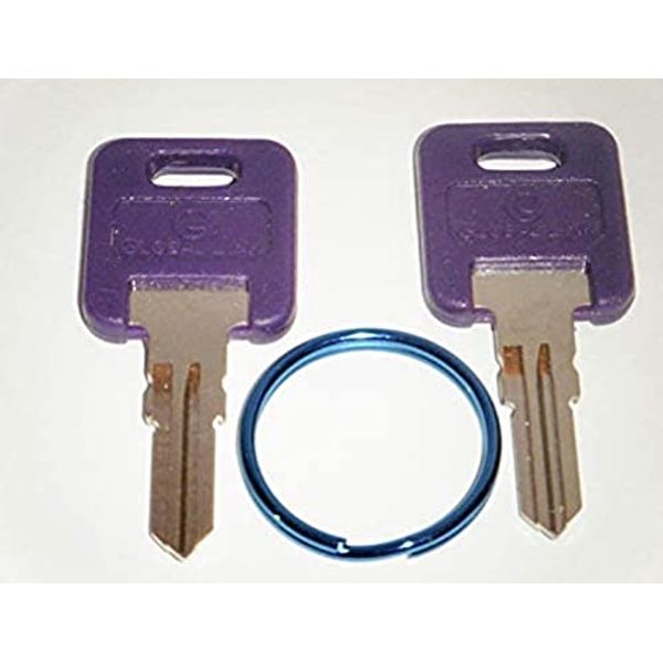 Global Link G339 Purple RV Keys with Blue Key Ring