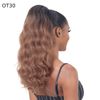 FreeTress Equal Wig Drawstring Ponytail Natural Me Natural Loose Wave (1)