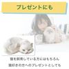 Hamilo Cat Object, Sleeping Cat, Plush, Interior Decoration,